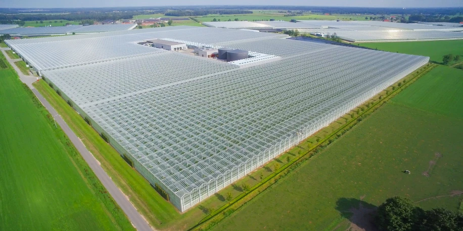 Den Berk Délice (BEL)