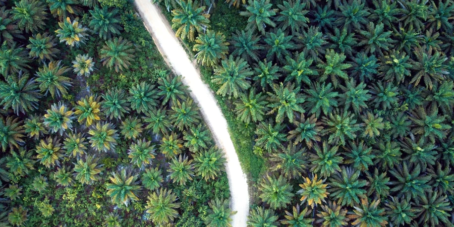 shutterstock_791091697